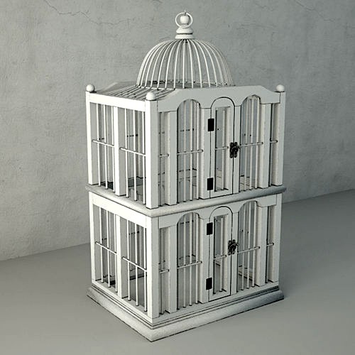 Dallon Decorative Cage by ZARA HOME