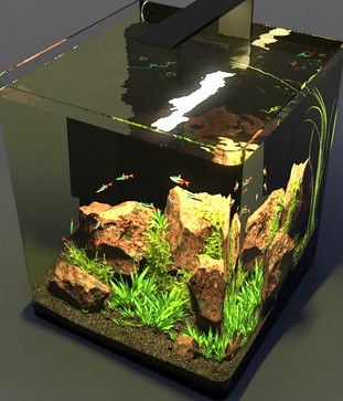 Aquarium Nano 1