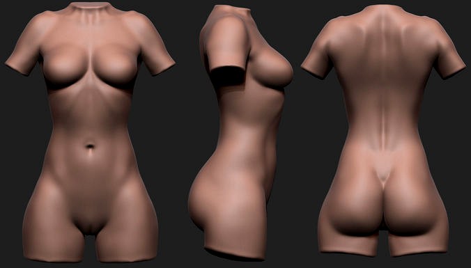 Female Torso