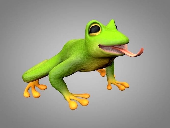 Frog or toad