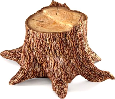 Pine stump