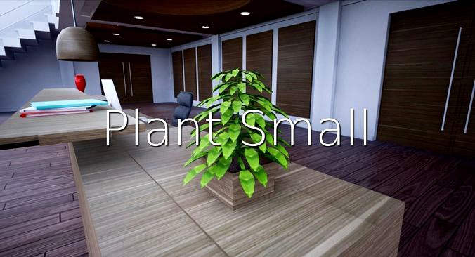 Plant Small SHC Quick Office LM
