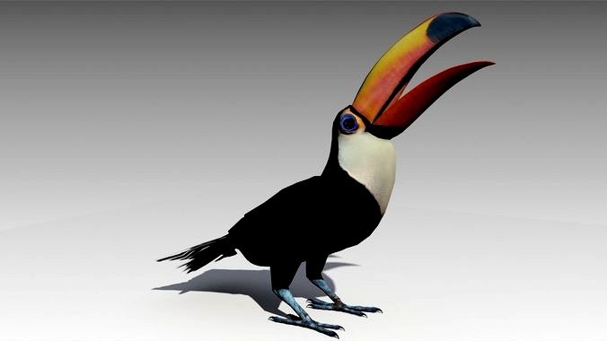 Toucan Animated