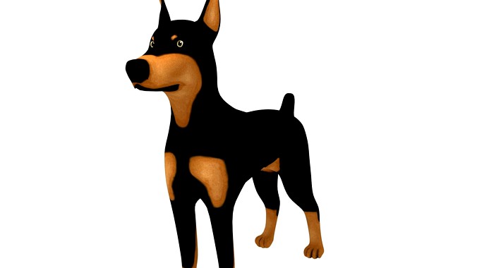 Doberman