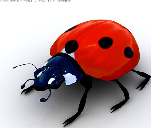 Ladybird 3D Model