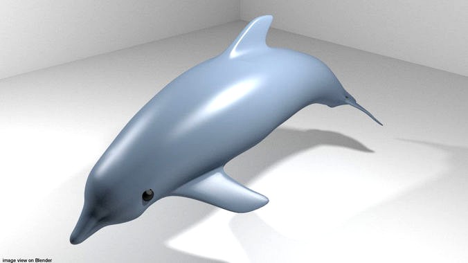 Dolphin - Oceanic