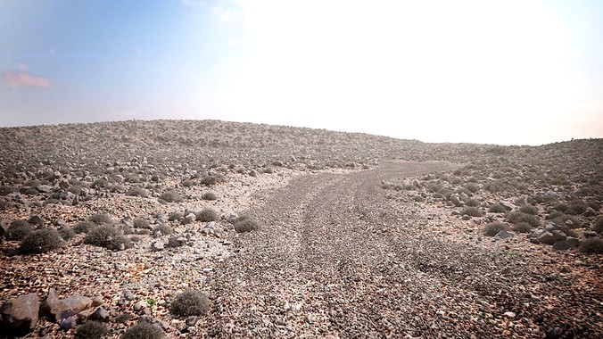 Desert model