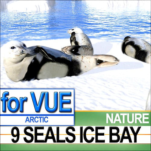 9 Seals 9 Arctic Bay