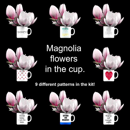 Magnolia in cup