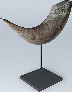 buffalo horn