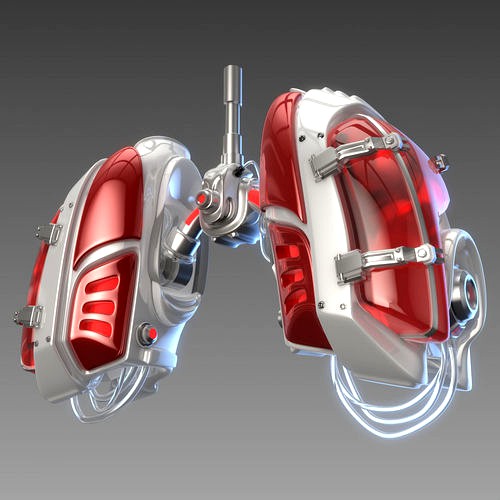 Mechanical lungs concept