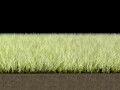 Dynamic Grass Pack