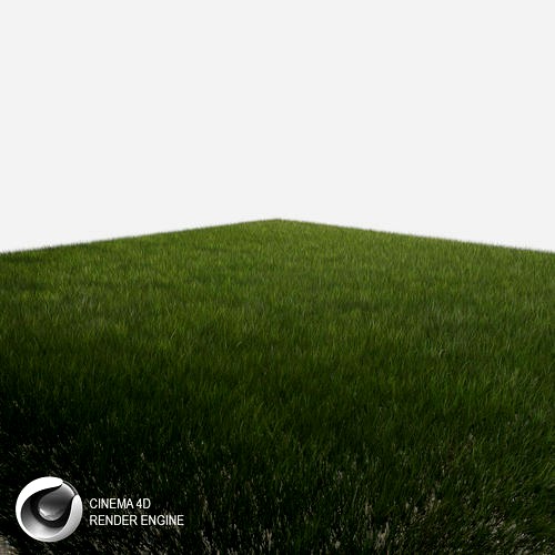 Dynamic Grass 3