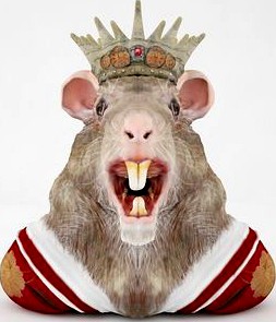 King Rattus