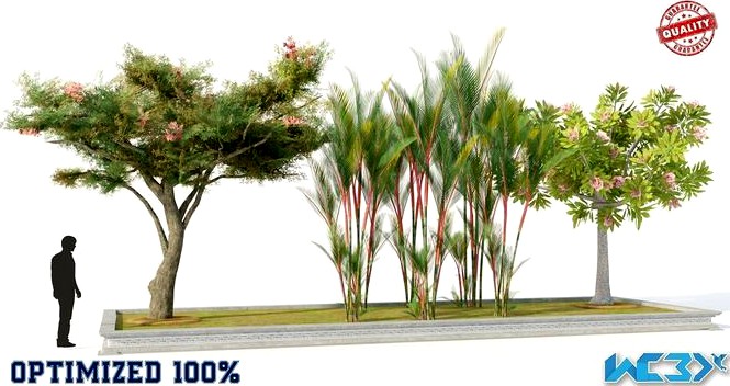 Trees Set Optimized