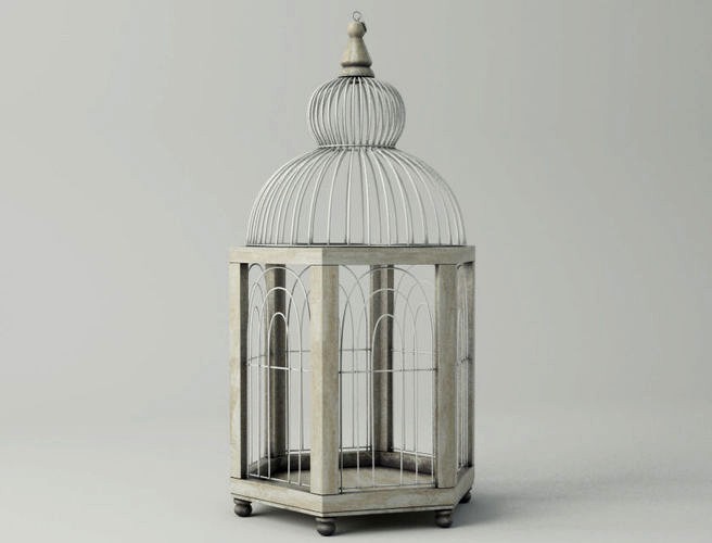 Hexi Decorative Cage by ZARA HOME