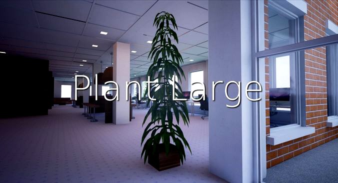 Plant Large SHC Quick Office