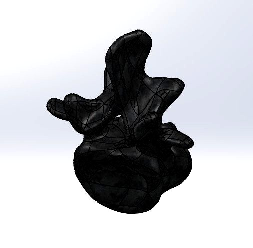 Human Lumbar Vertebrae - L4 3D model