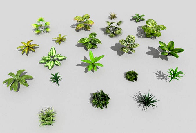 20 low poly tropical foliage pack