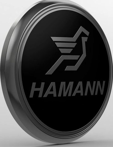 hamann logo 2 3d model