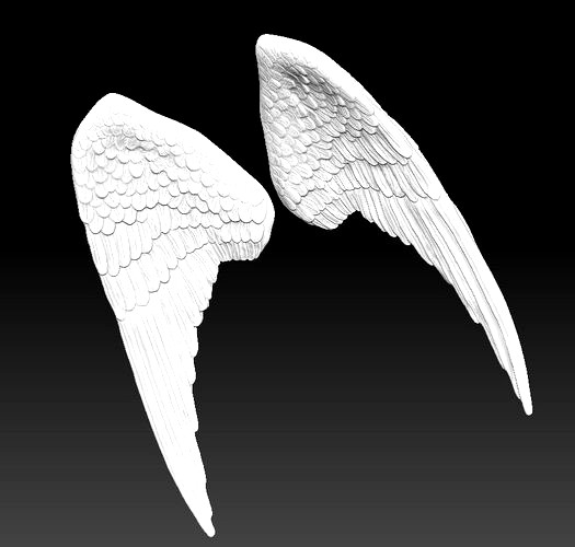 angel bird pair wings | 3D