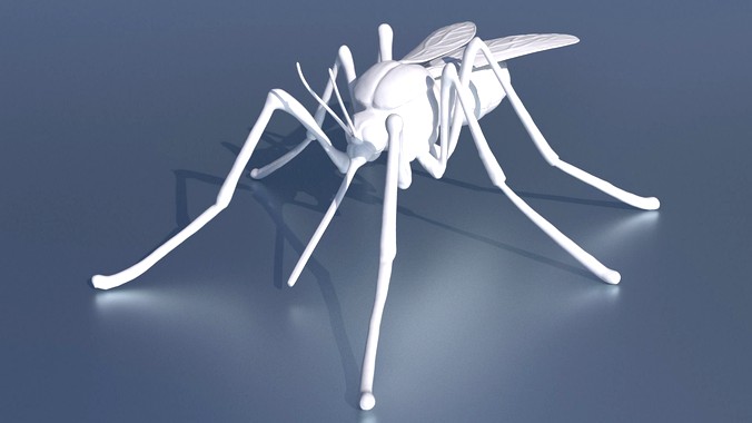 A mosquito for 3D printing | 3D
