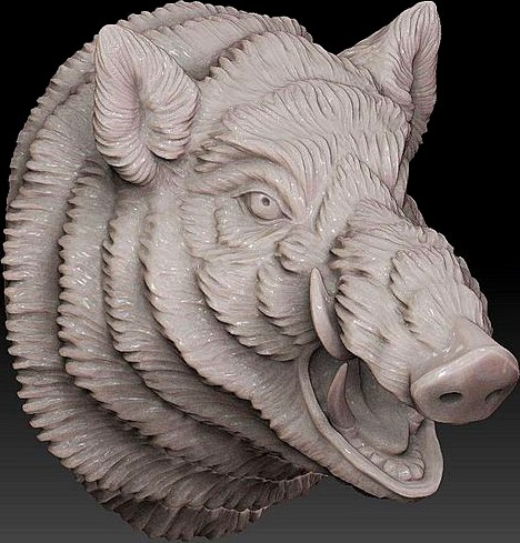 Boar head | 3D