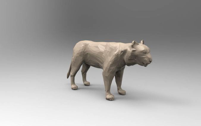 White Tiger 3D Low-Poly | 3D