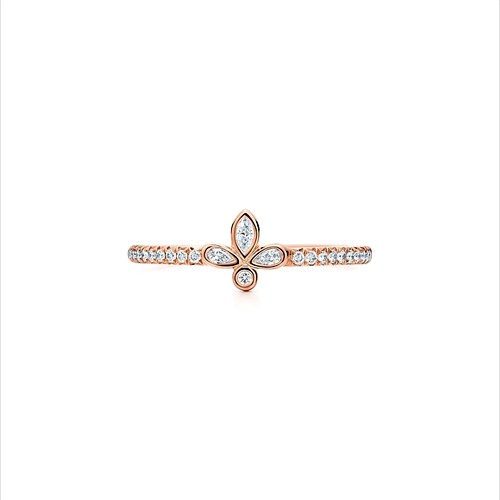 FLEUR DE LIS Band Ring all size 3dm | 3D