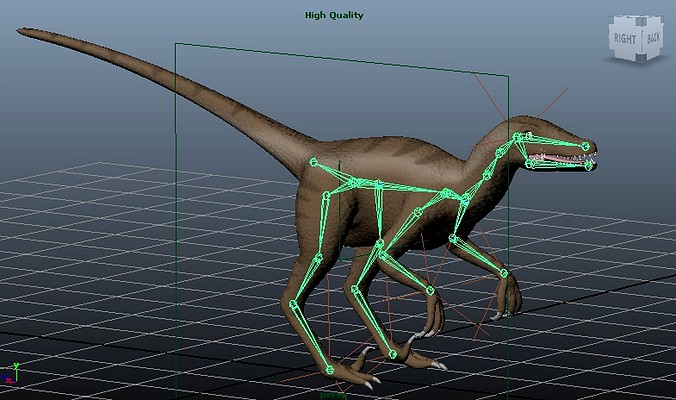 Velociraptor | 3D