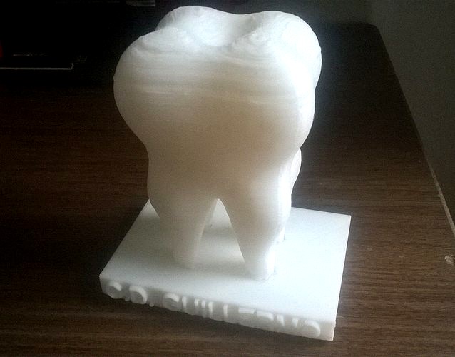 Human Tooth | 3D