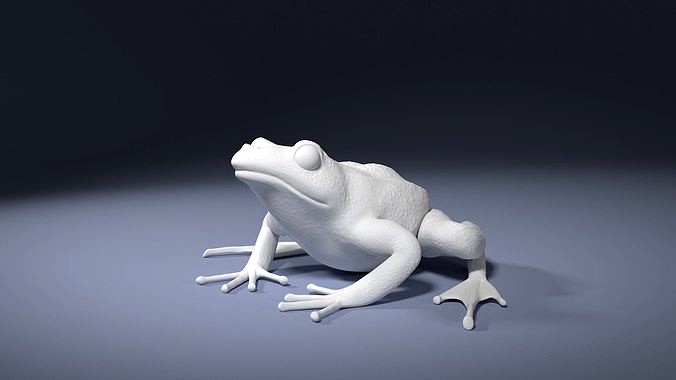 Rana Temporaria Frog for 3D printing | 3D