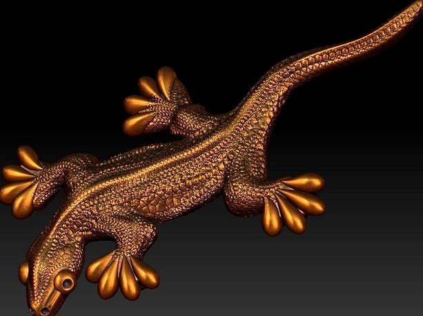 Lizard  | 3D