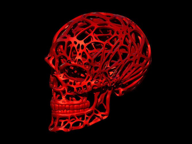 Wired Skull | 3D