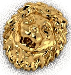 Lion Head | 3D