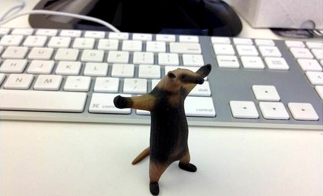Come At Me Bro Fuck You I m an Anteater | 3D