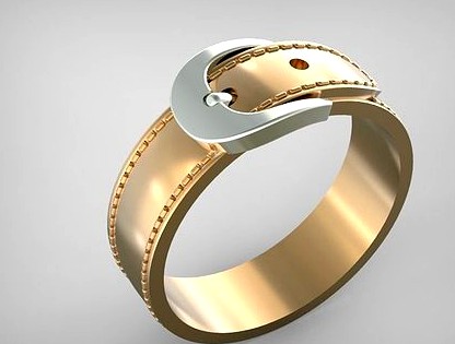 Ring Belt | 3D