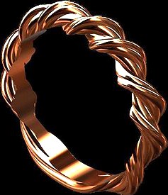 Twisted Ring | 3D