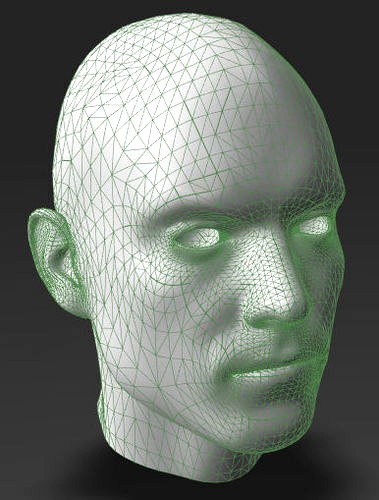 Solid male head 3 | 3D
