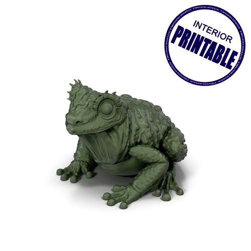 frog printable | 3D