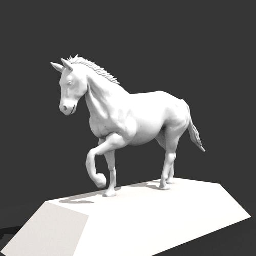 white horse | 3D