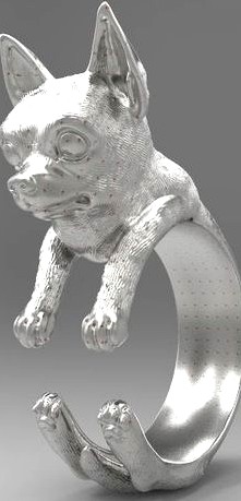 dog ring | 3D