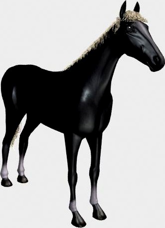 Black horse 3D Model