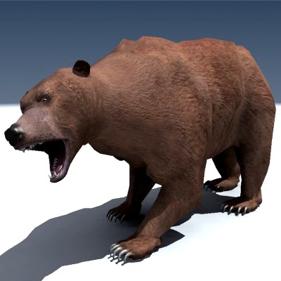 Grizzly Bear Rigged 3D Model