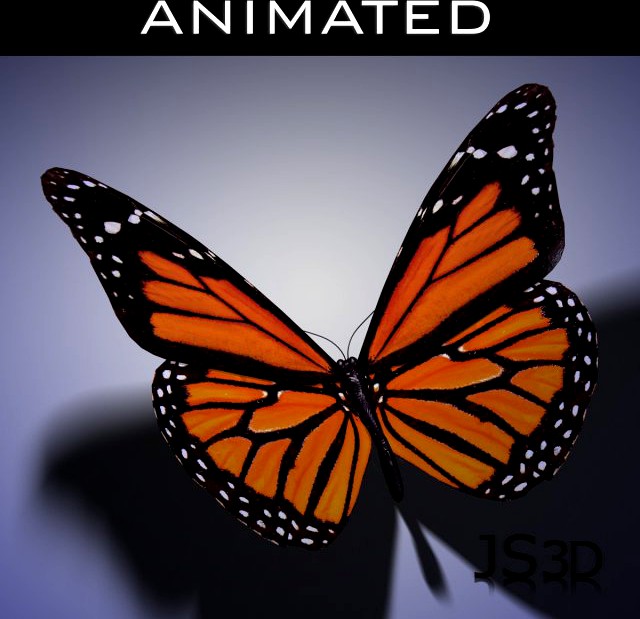 Butterfly Animated 3D Model