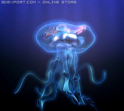 Jellyfish 3D Model