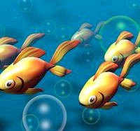 Gold Fish