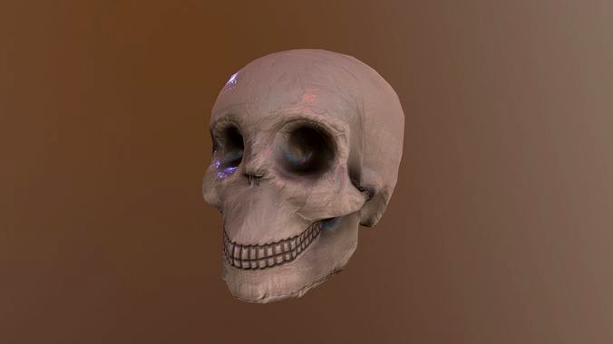 Human Skull