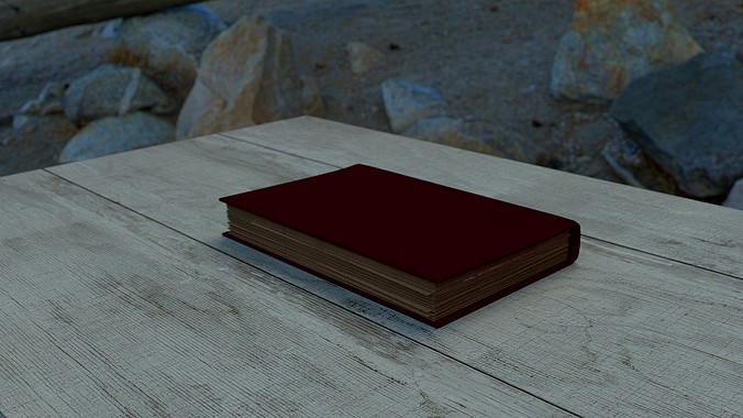 worn book