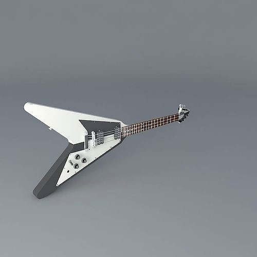 Michael Schenker's Black and white flying V guitar